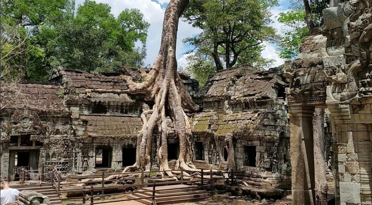The Palmery Siem Reap Exterior photo