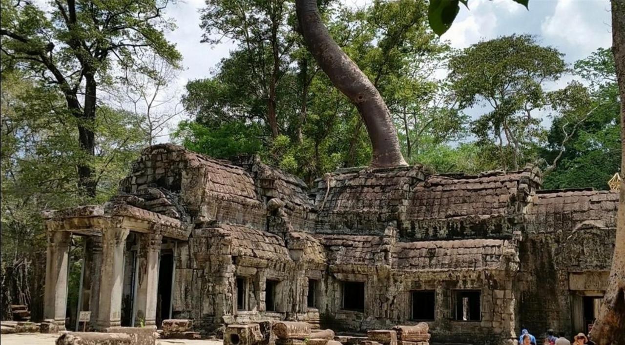 The Palmery Siem Reap Exterior photo